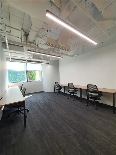 section image