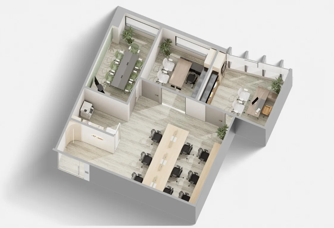 section image